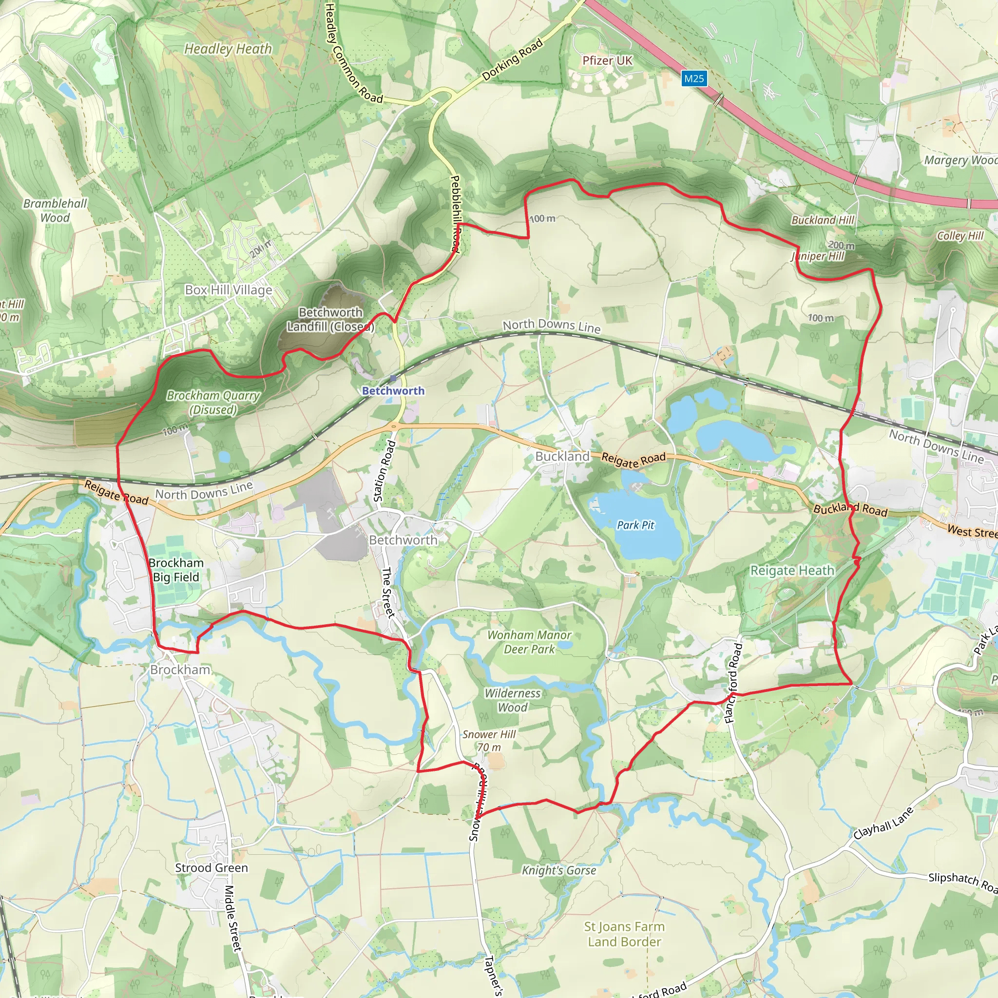 Brockham and Betchworth Loop via Reigate Heath mobile static map