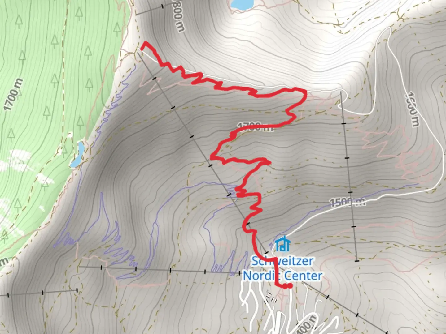 An image depicting the trail Nature Trail from Village Lane and its surrounding area.