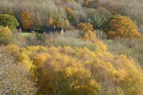 An image depicting the trail Gullet Wood and Swinyard Hill via Three Choirs Way and its surrounding area.