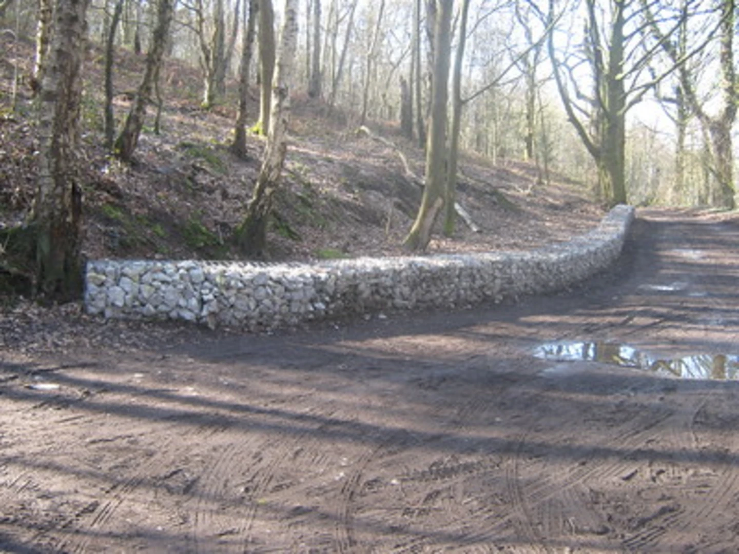 An image depicting the trail Little Eaton and Morleymoor Loop and its surrounding area.