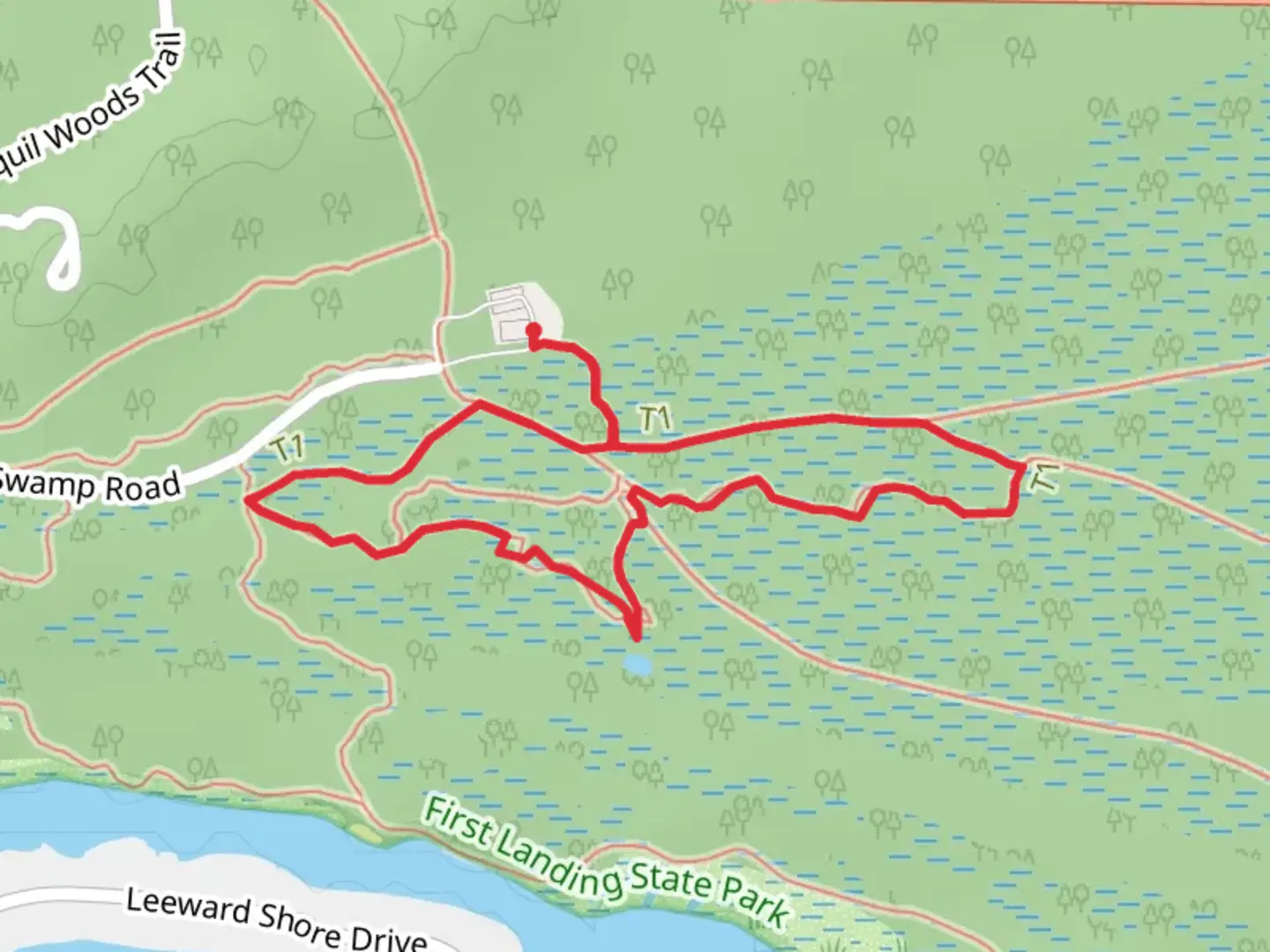 An image depicting the trail Bald Cypress Trail Loop and its surrounding area.