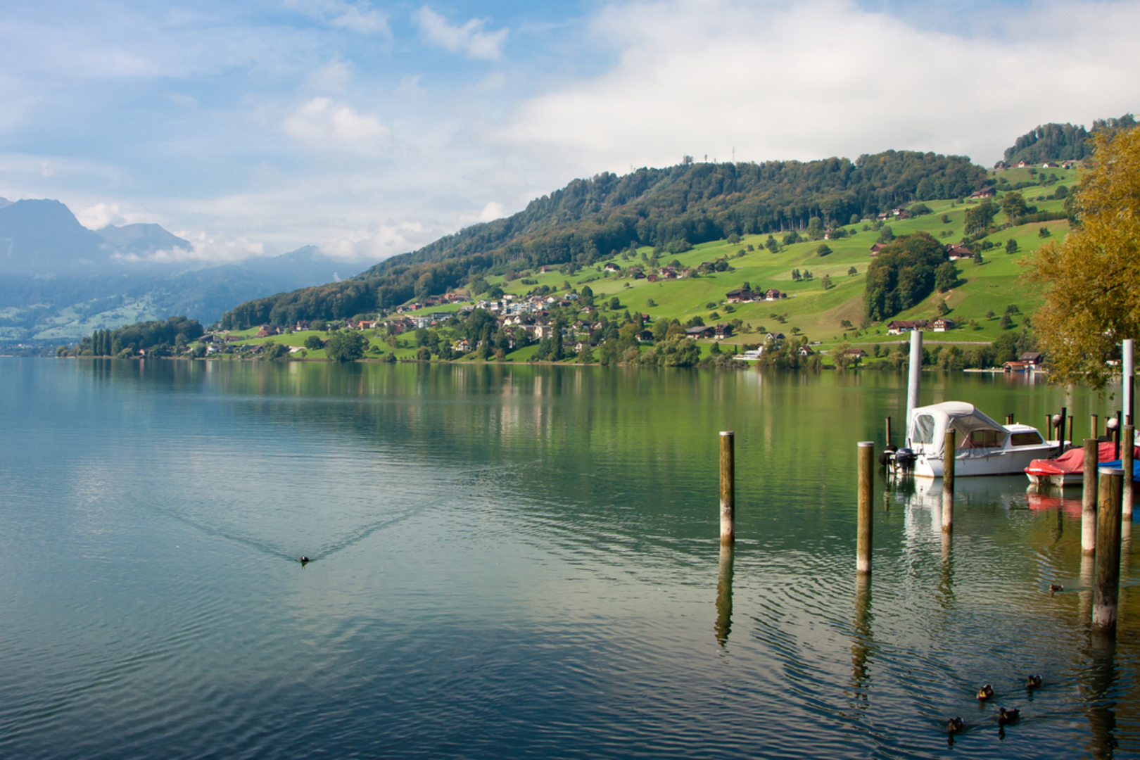 An image depicting the trail Zingel on the Mueterschwandenberg and its surrounding area.