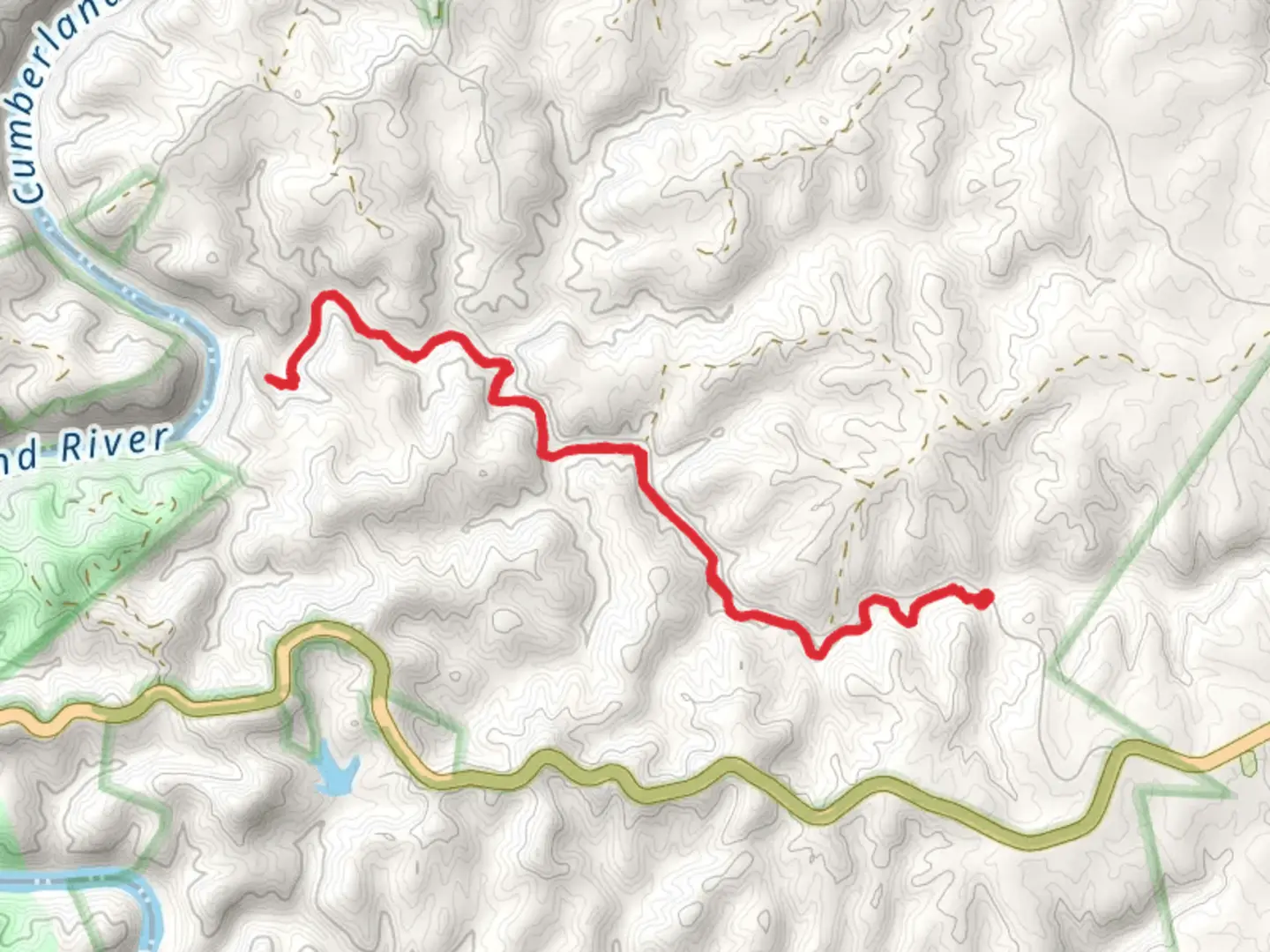 An image depicting the trail Dog Slaughter Falls Trail and its surrounding area.