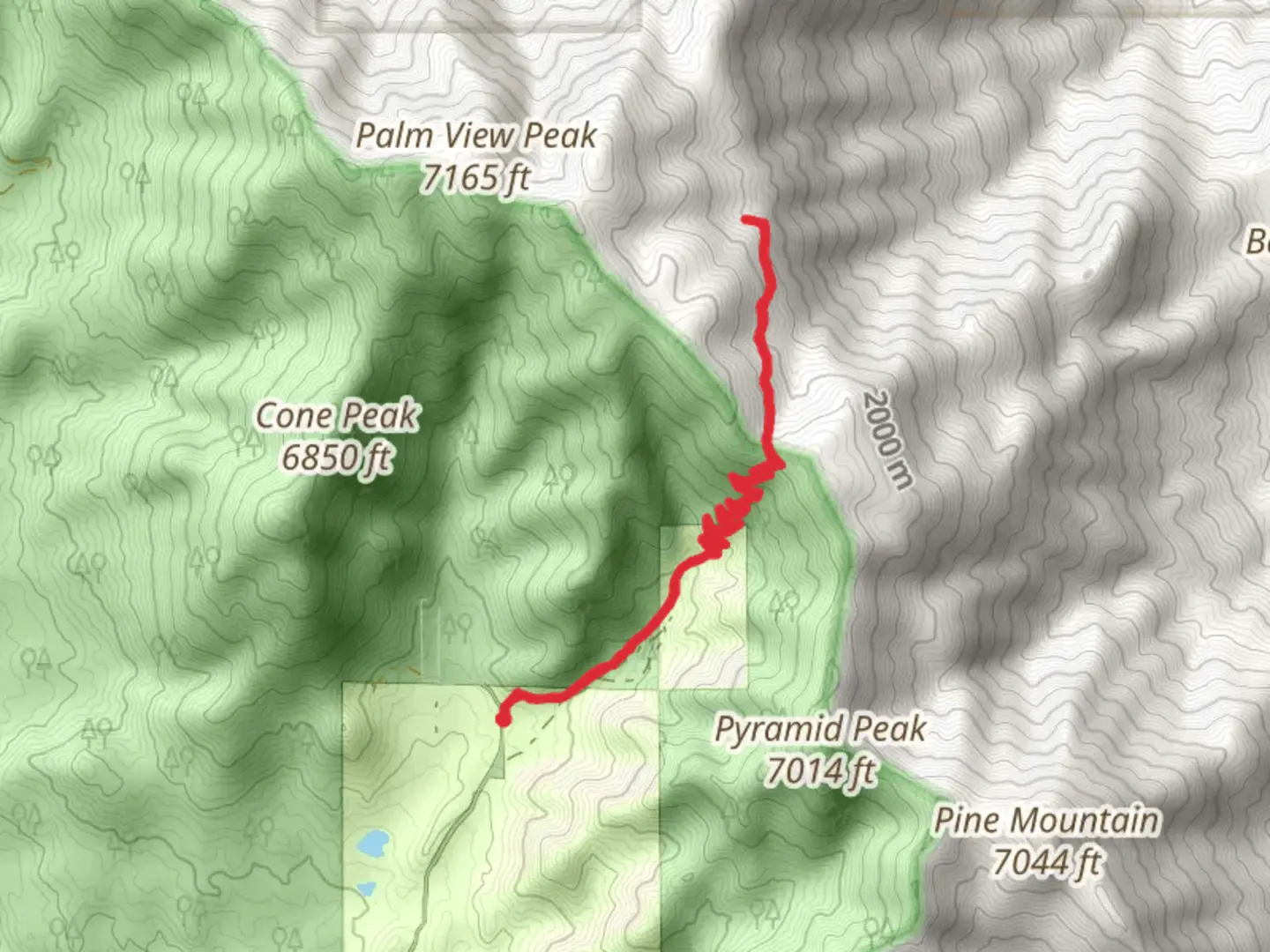 An image depicting the trail Cedar Springs Trail and its surrounding area.