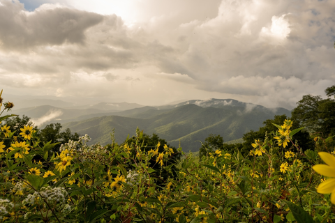 An image depicting the trail Hemphill Bald Trail and its surrounding area.
