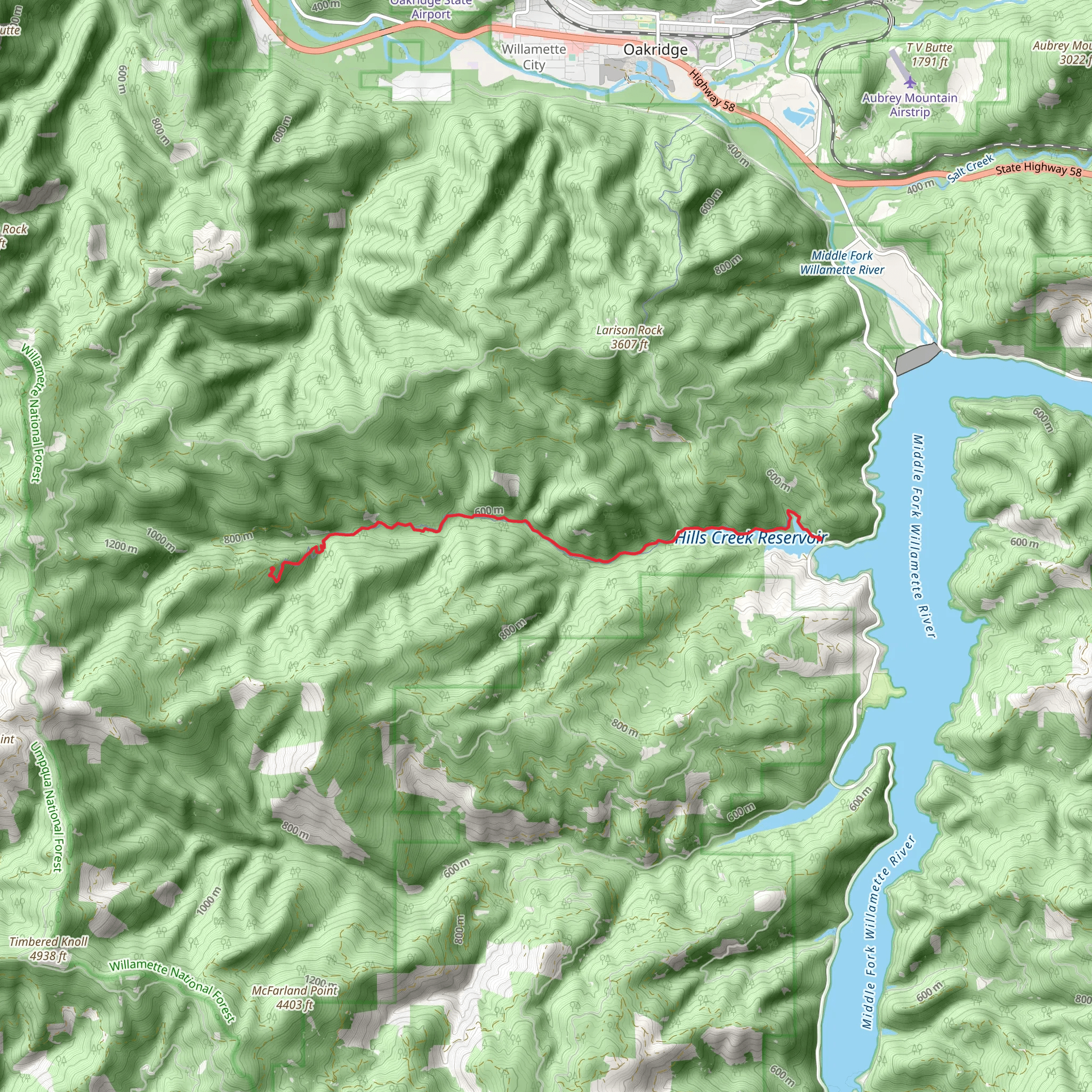 Larison Creek Trail mobile static map