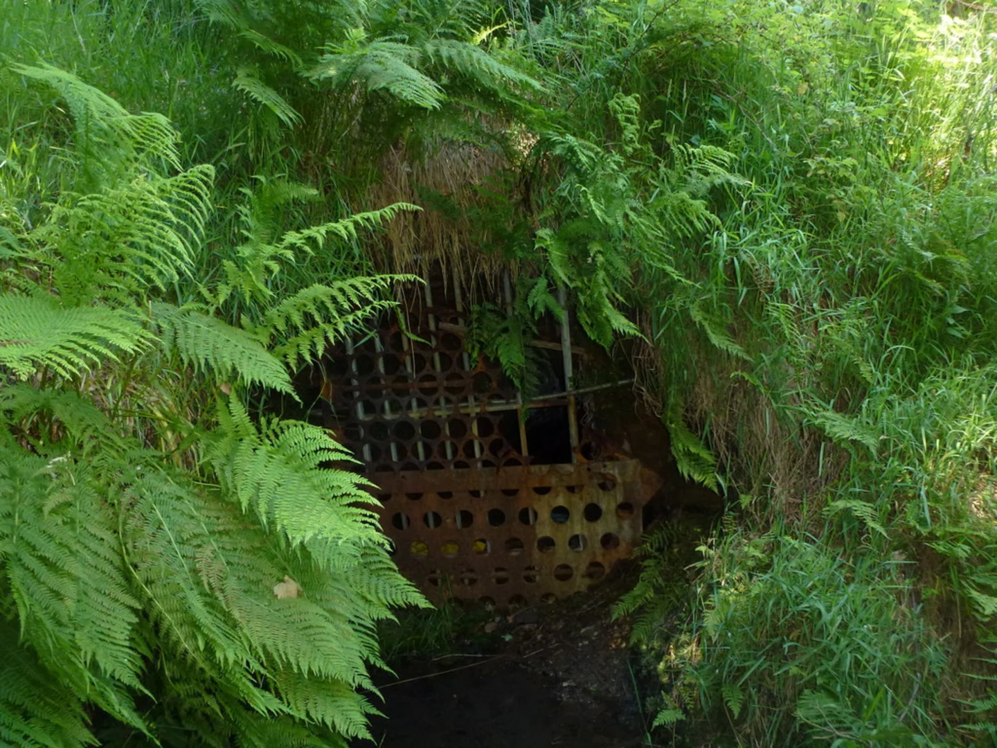 An image depicting the trail Gorpley Clough and Gorpley Reservoir Loop and its surrounding area.
