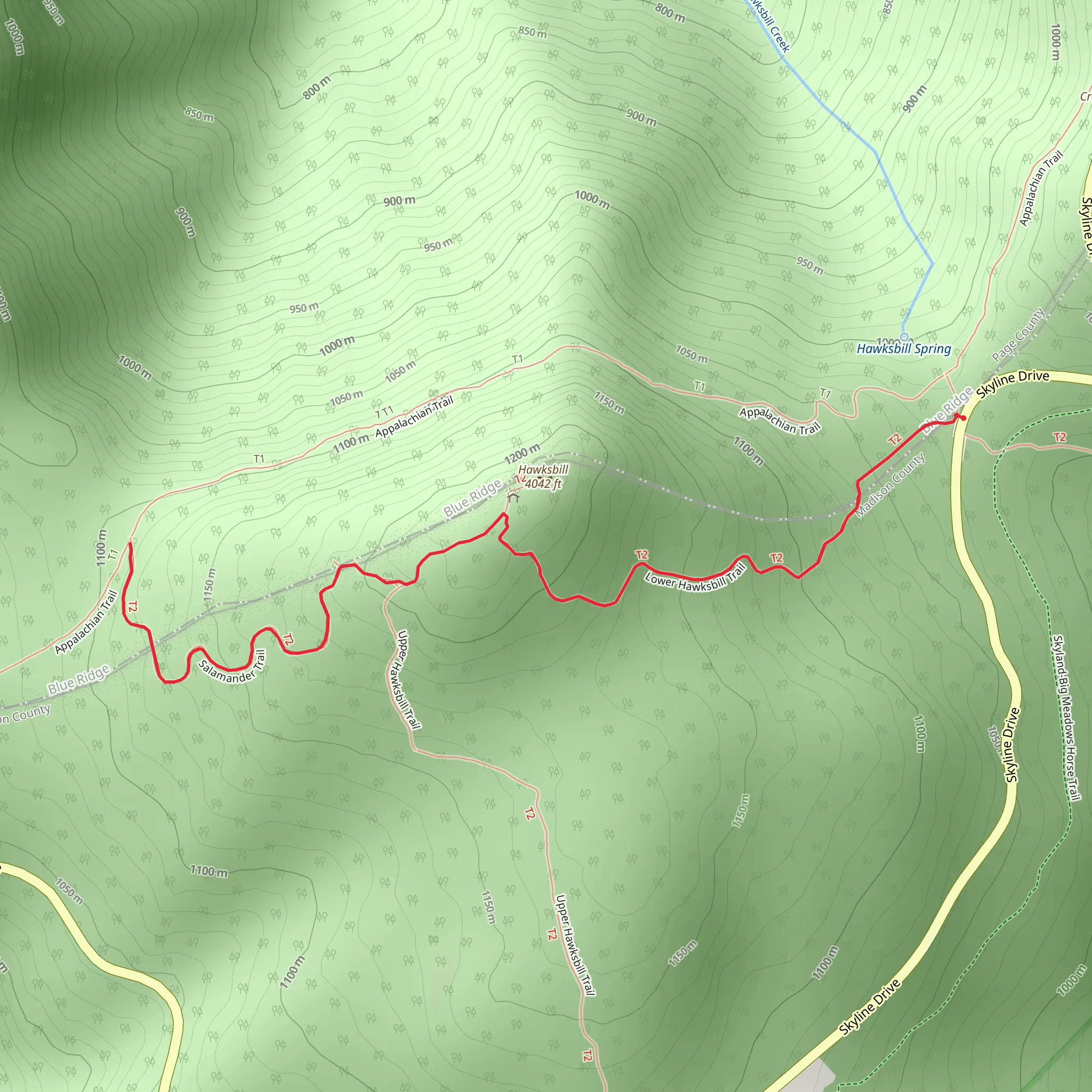 Salamander Trail via Hawksbill Mountain Trail mobile static map