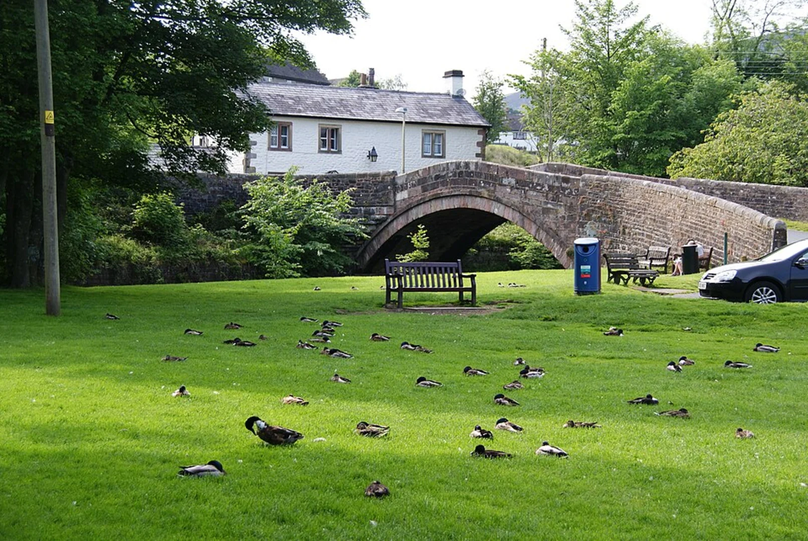 An image depicting the trail Dunsop Bridge and Langden Brook Walk and its surrounding area.