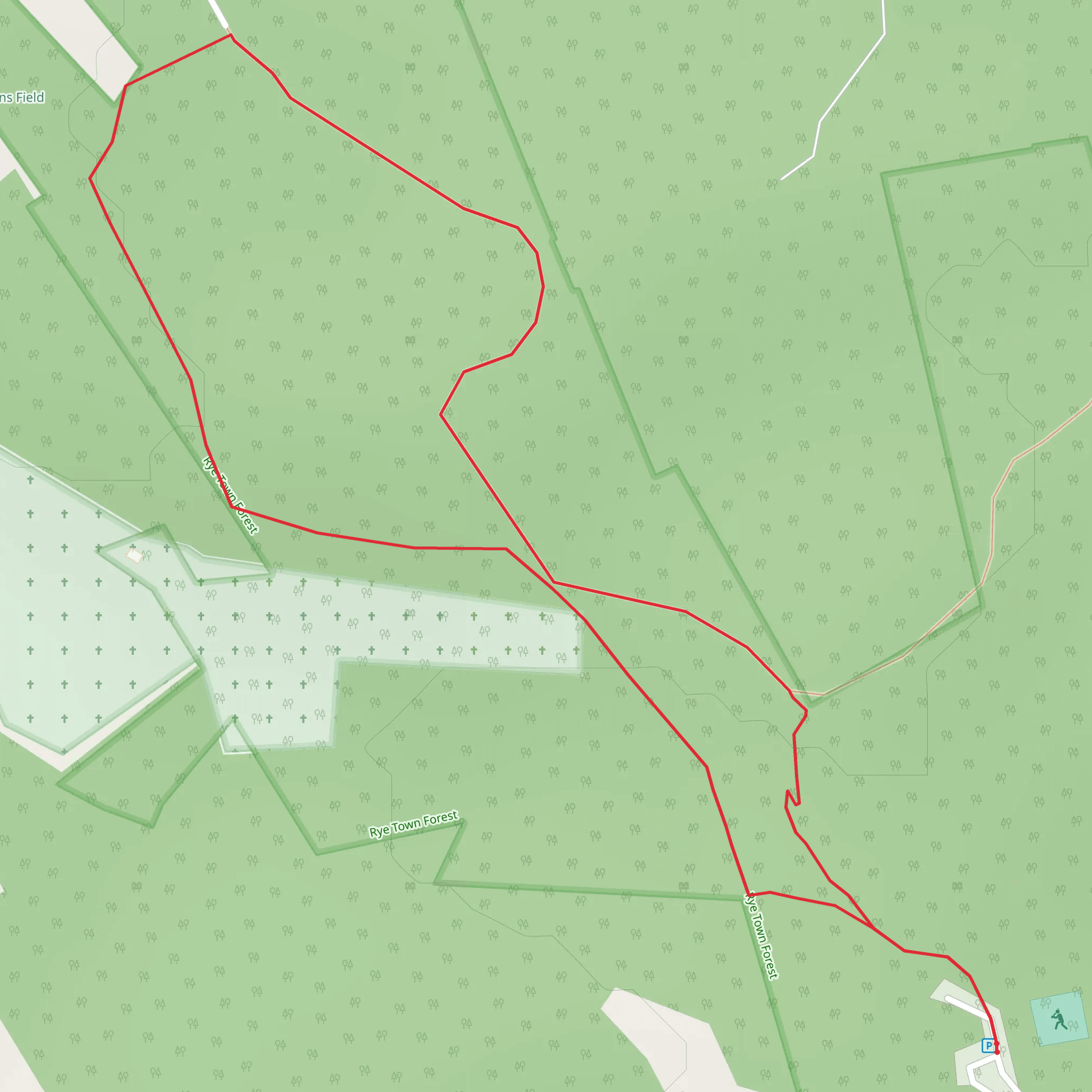 Recreation Road Loop mobile static map