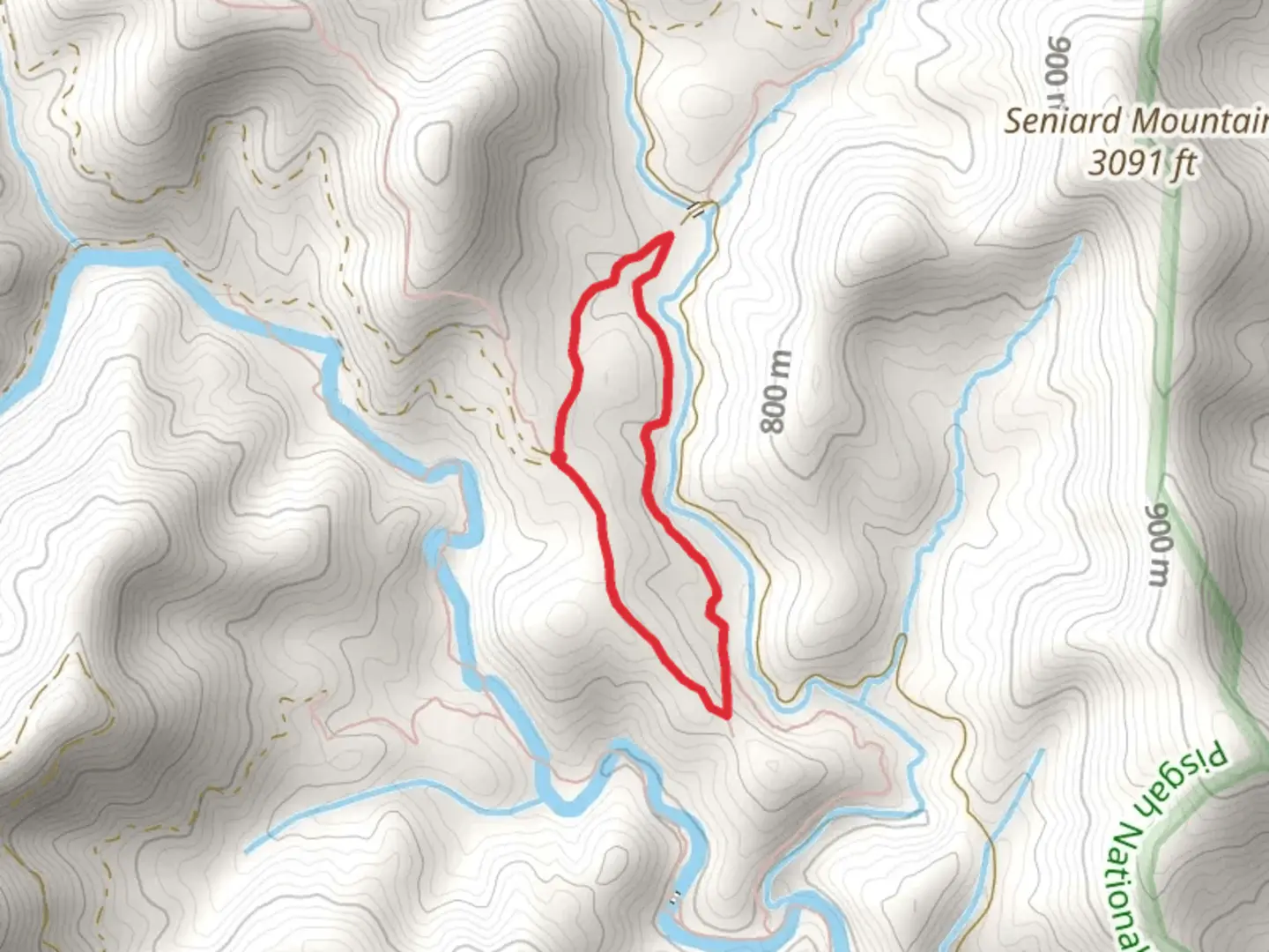 An image depicting the trail Trace Ridge and Wash Creek Loop and its surrounding area.
