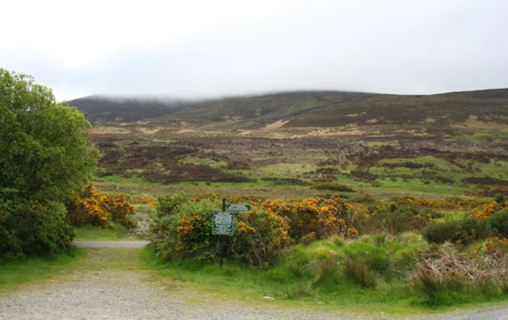 An image depicting the trail Stoompa East Top and its surrounding area.
