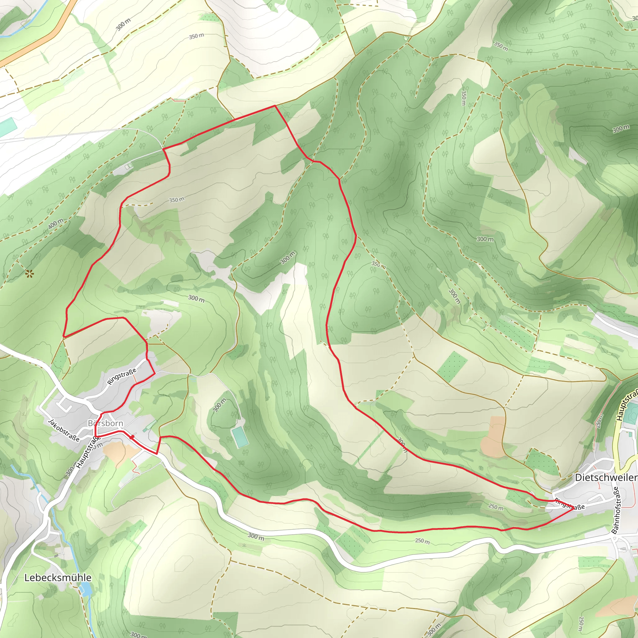 Börsborn Loop mobile static map