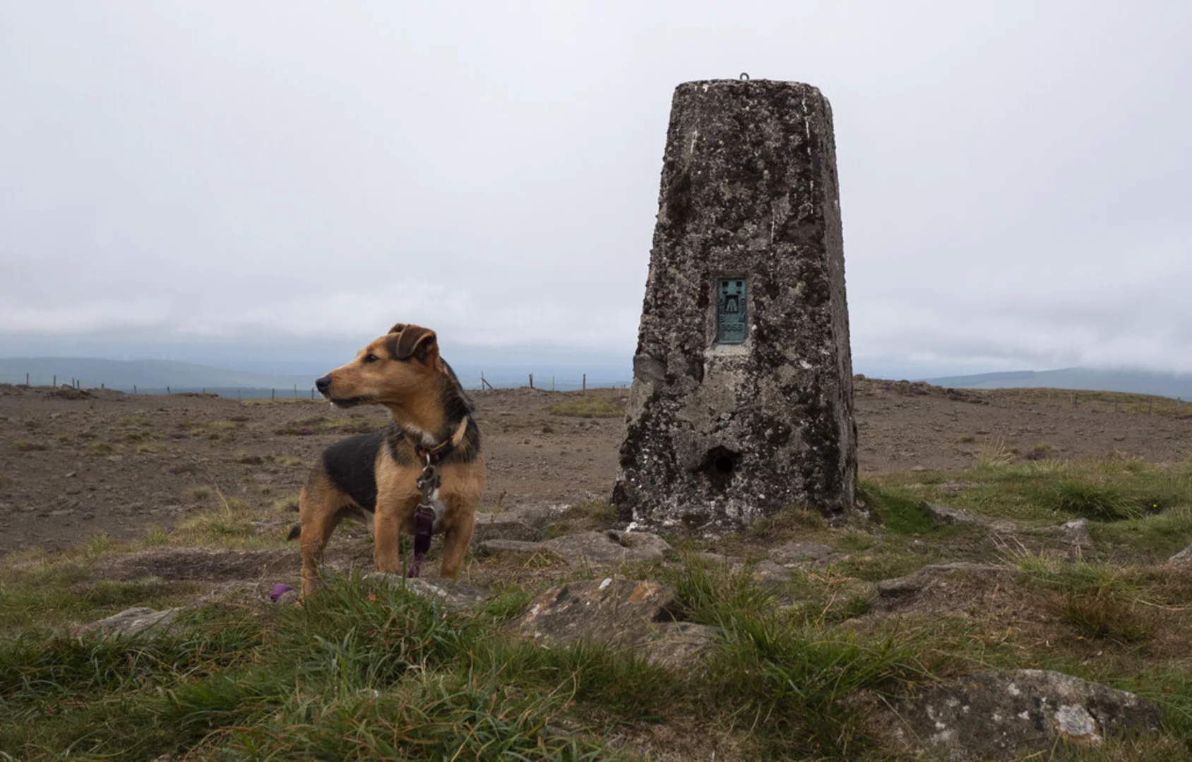 An image depicting the trail Trostan Mount and its surrounding area.
