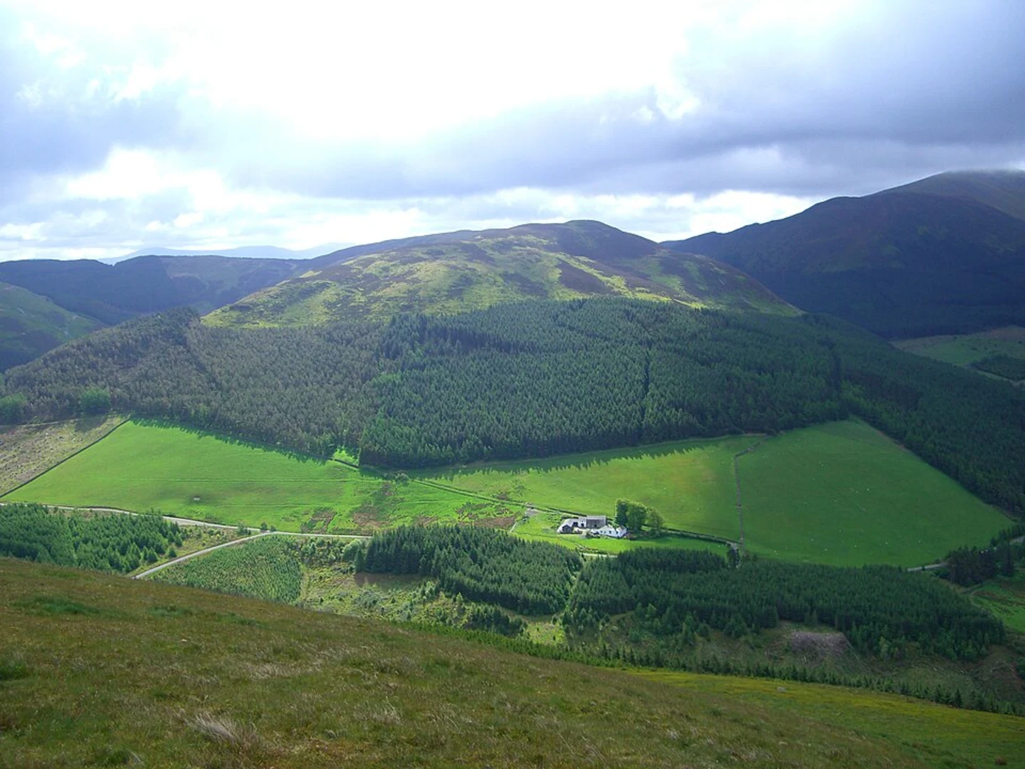 An image depicting the trail Brown How and Whinlatter Peak Walk and its surrounding area.