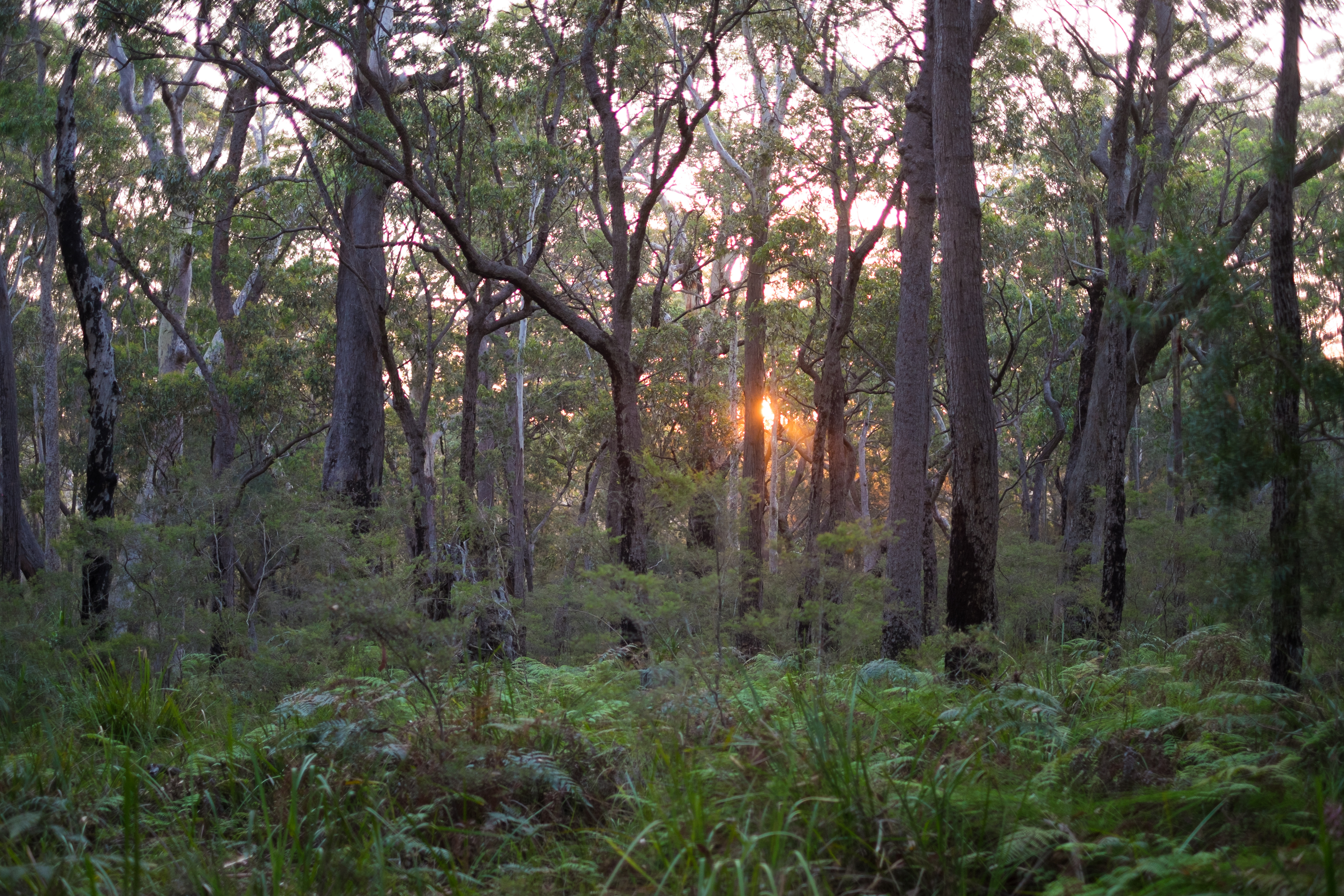 An image depicting the trail Meroo National Park and its surrounding area.
