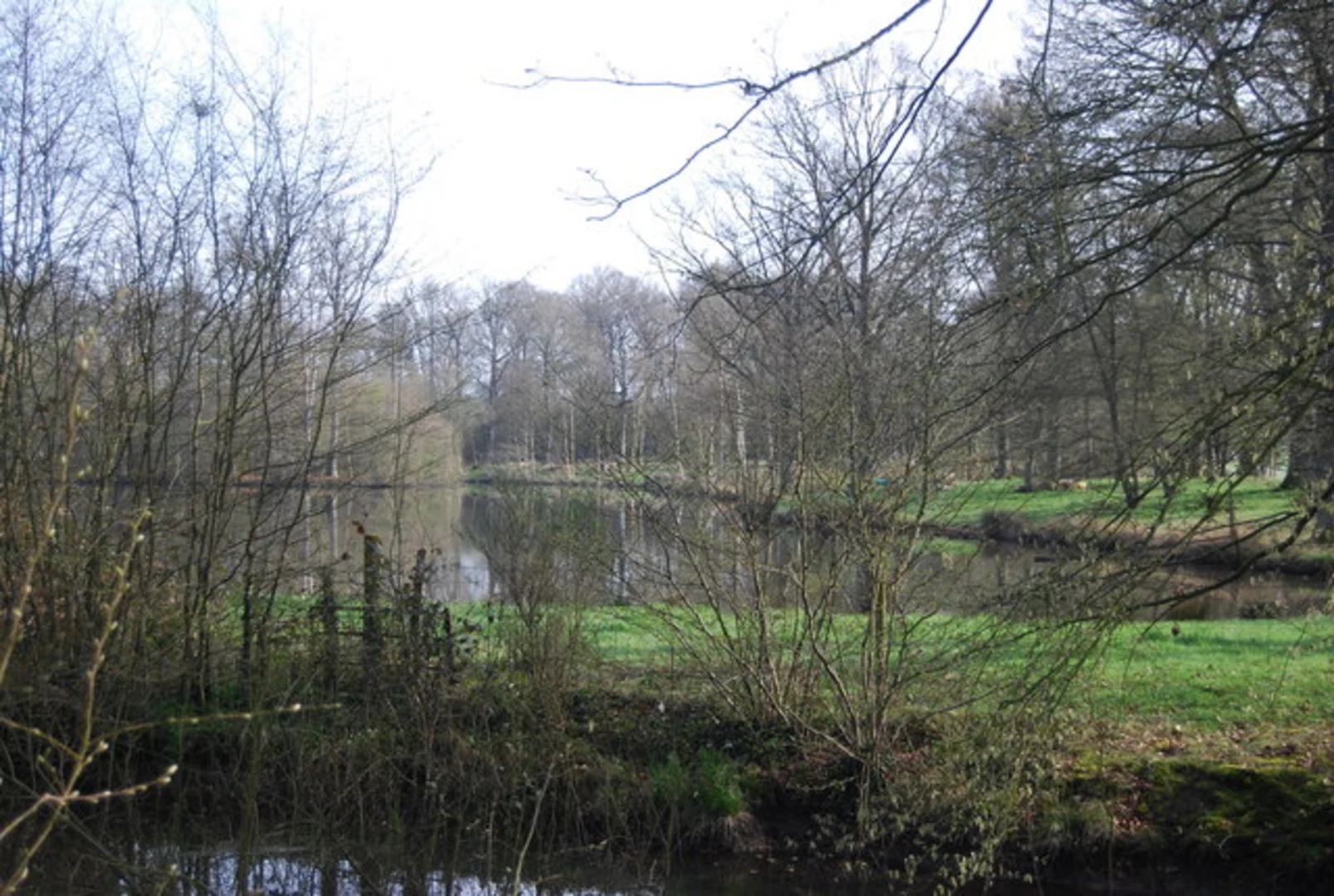 An image depicting the trail Sidney Wood, Westland Copse and Gennets Wood Loop and its surrounding area.