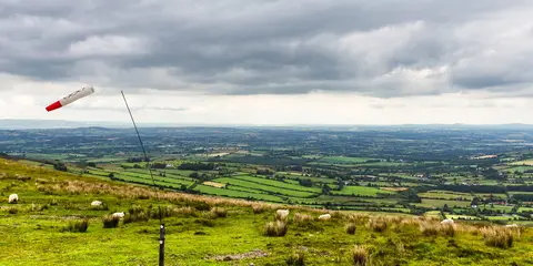 An image depicting the trail Kiltealy Cullentra Trail and its surrounding area.