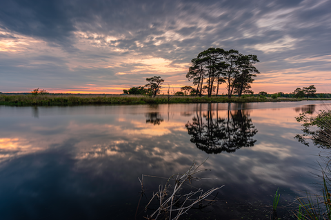 Davidsplassen and Spaarbankbosch Loop