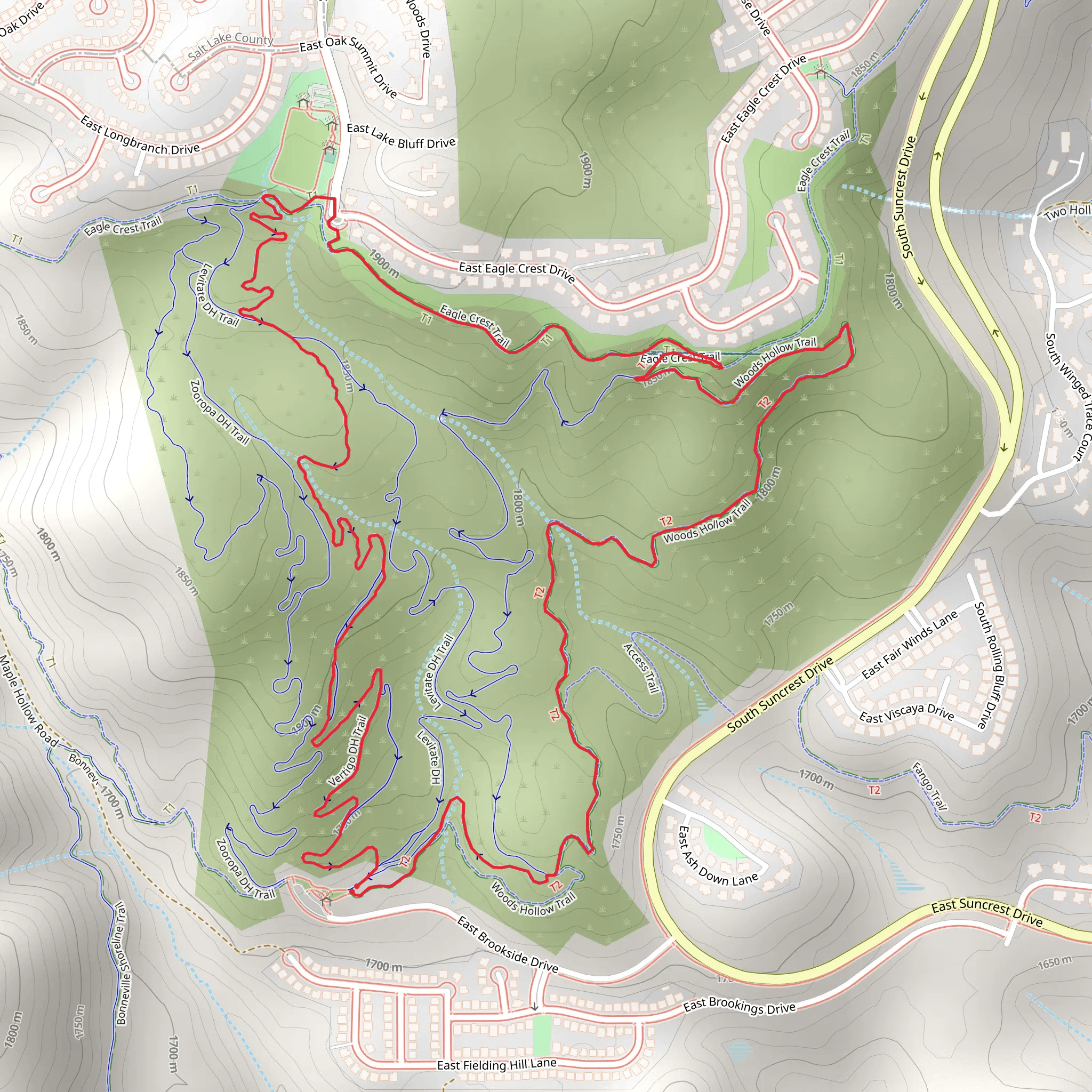 Woods Hollow and Vertigo Trail DH Loop mobile static map