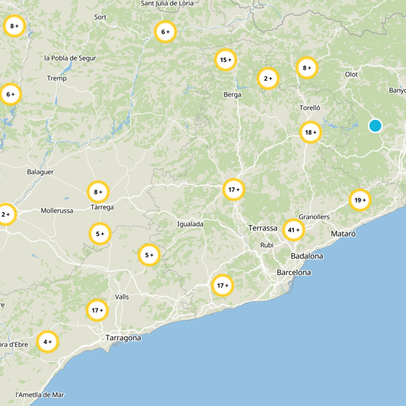 Castellfollit Del Boix Static Map
