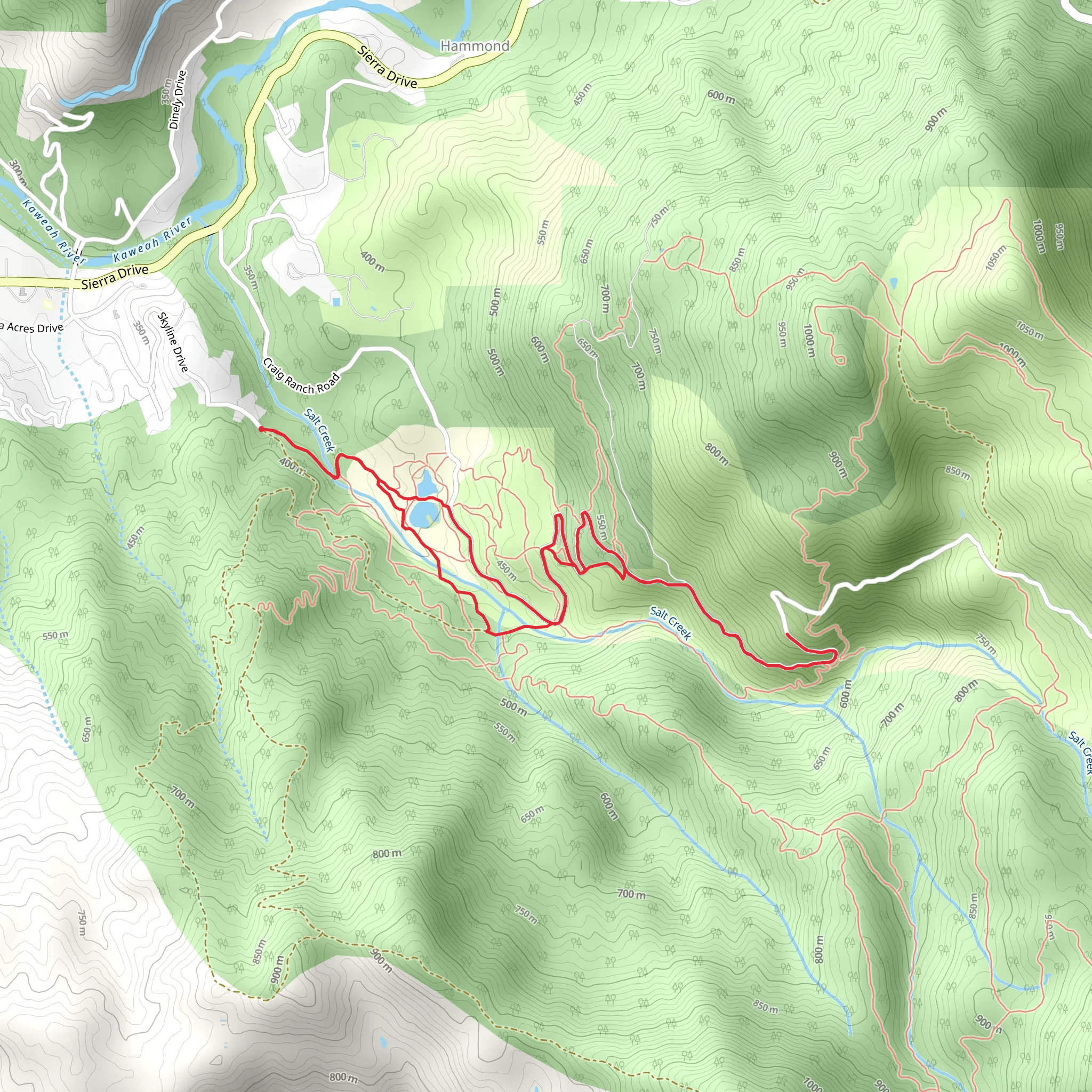Salt Creek Loop - Skyline Drive mobile static map