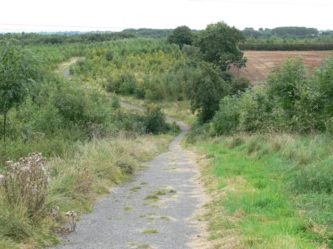 An image depicting the trail Bagworth Heath Woods Walk and its surrounding area.