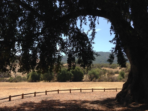 An image depicting the trail Stephen E Abbors and Coyote Loop Trail and its surrounding area.