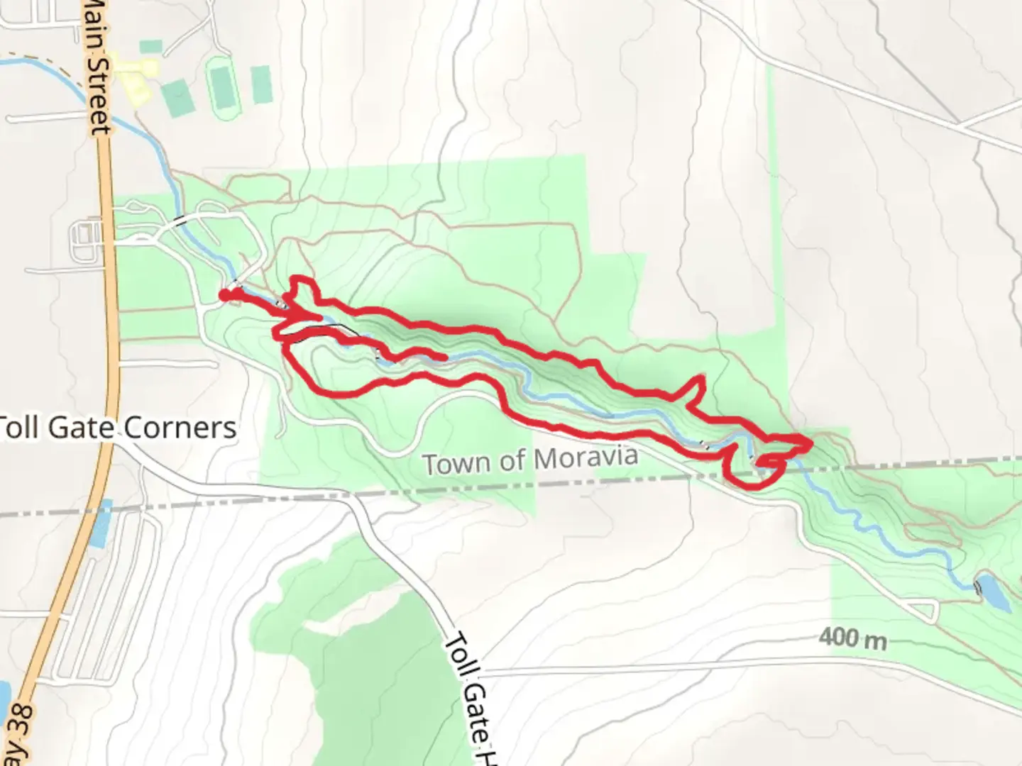 An image depicting the trail Dry Creek Loop from Fillmore Glen State Park and its surrounding area.