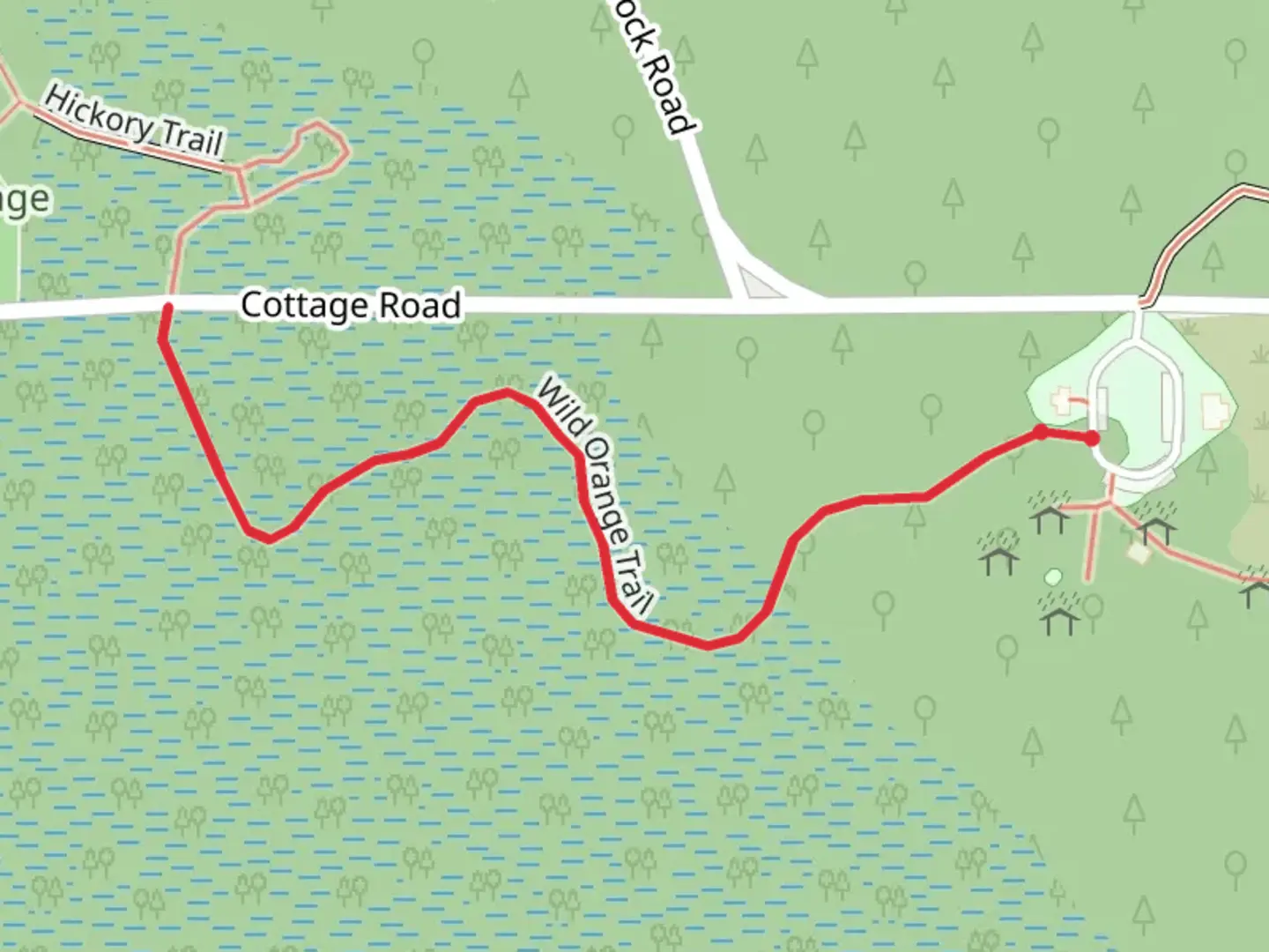 An image depicting the trail Wild Orange Trail and its surrounding area.