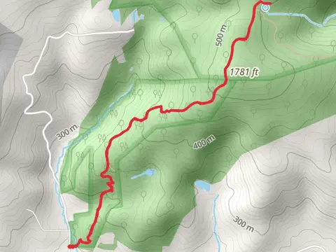 Appalachian Short Trail from Tuckers Lane