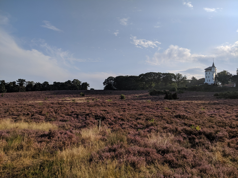 Holterberg, Prengenberg, Noetselerberg and Hegejanskamp Loop