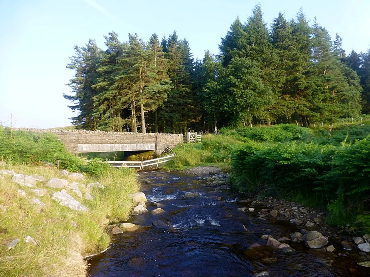 An image depicting the trail Bowlands Knotts and Great Harlow Loop and its surrounding area.