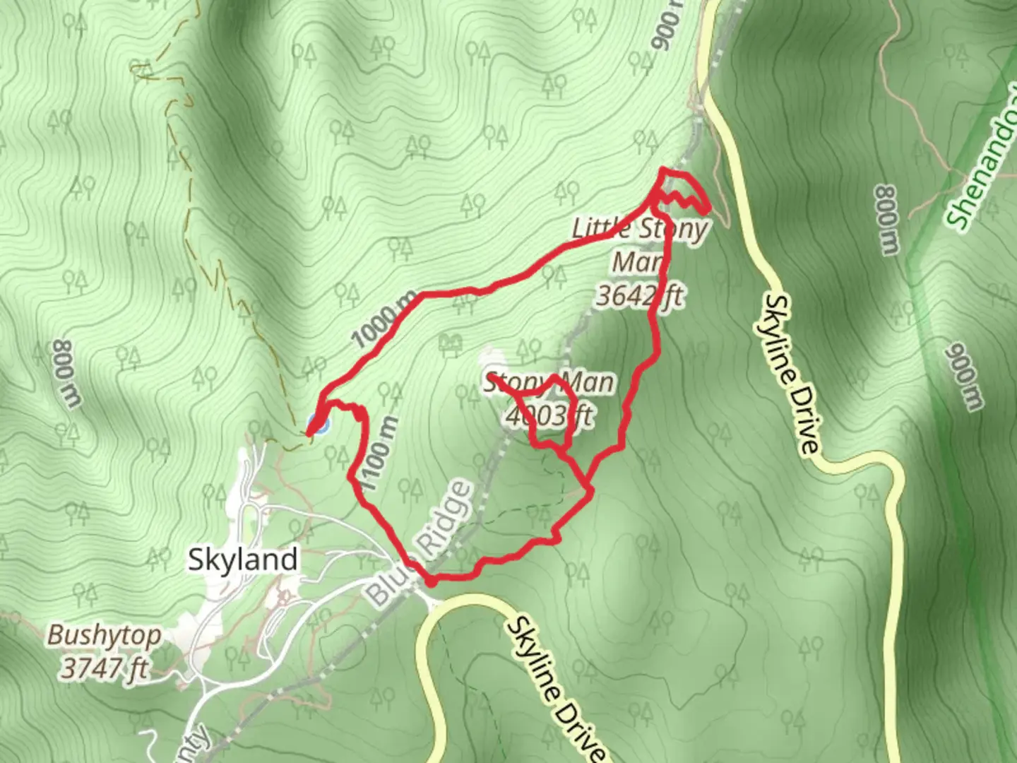 An image depicting the trail Stony Man and Little Stony Man Loop and its surrounding area.