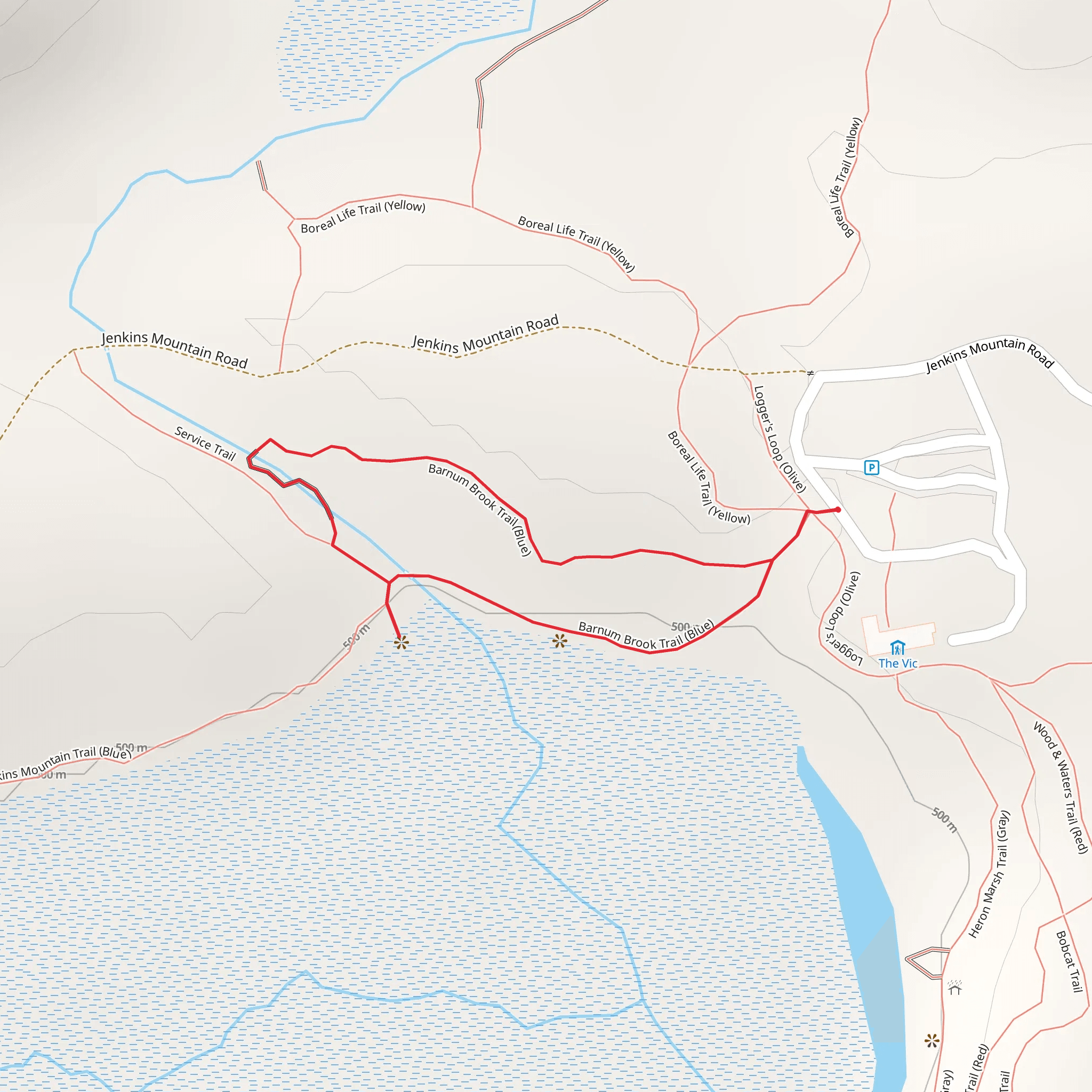 Barnum Brook Trail - Blue Loop mobile static map