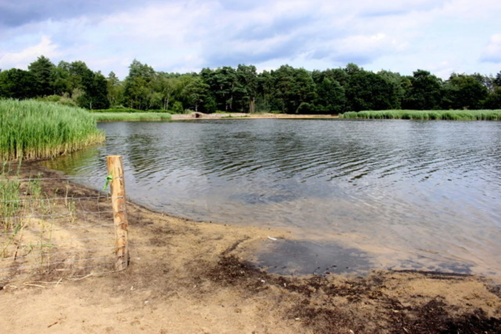 An image depicting the trail Farnham Walk and its surrounding area.