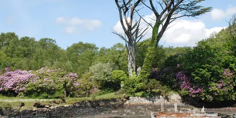 An image depicting the trail Bullig Bay Loop and its surrounding area.