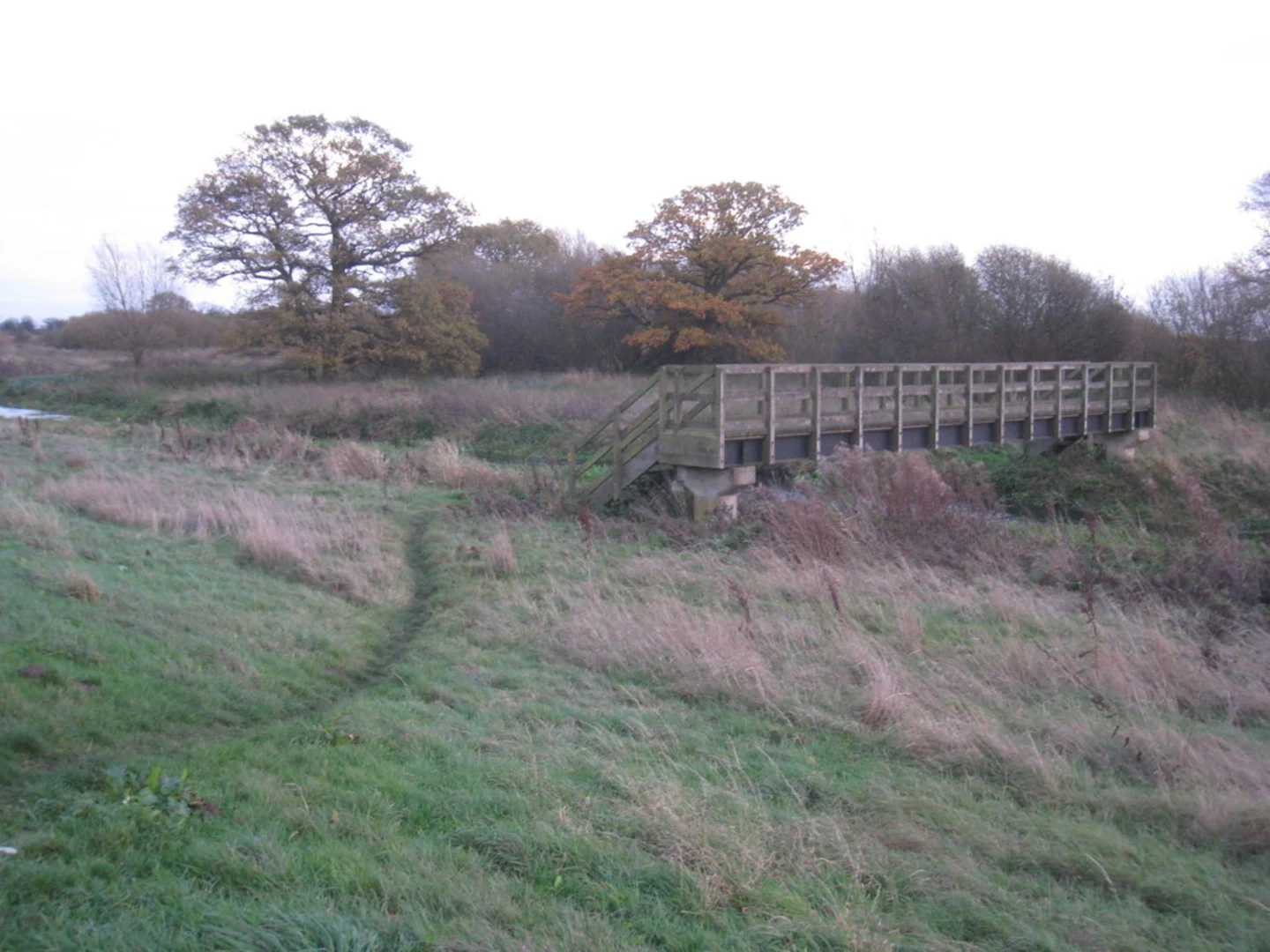 An image depicting the trail River Torno Loop - Auckley and its surrounding area.
