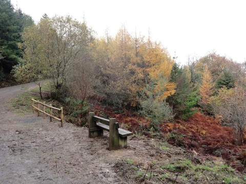 An image depicting the trail Arthingworth to Braybrooke Loop and its surrounding area.