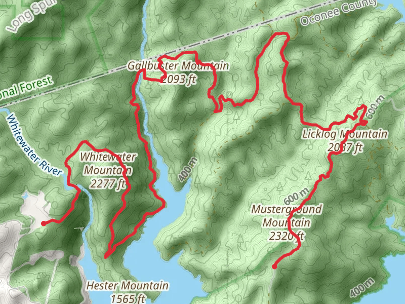 Gallbuster Mountain, Licklog Mountain and Musterground Mountain Walk