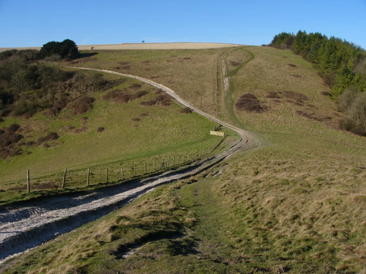 Buriton to Cocking Walk