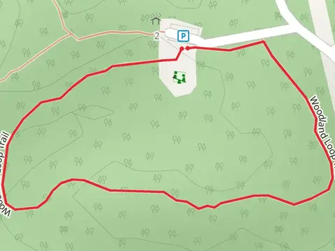 Woodland Loop Trail - Turkey Spur Road