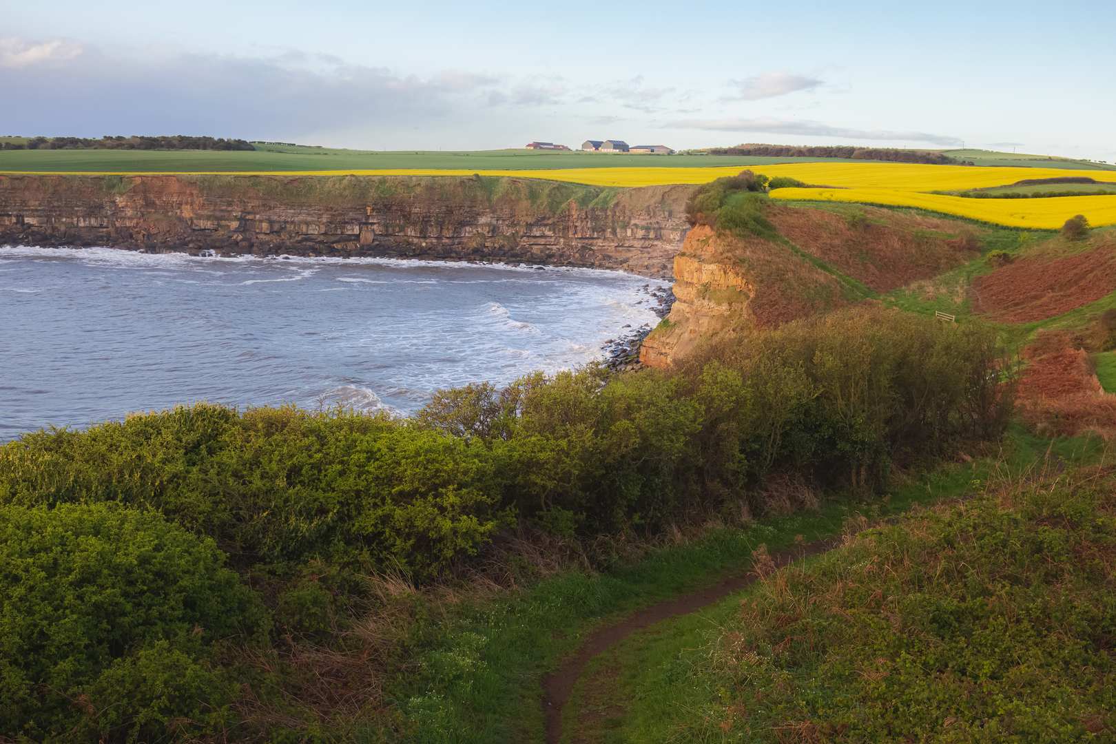 An image depicting the trail Cloughton and Hayburn Wyke Walk and its surrounding area.