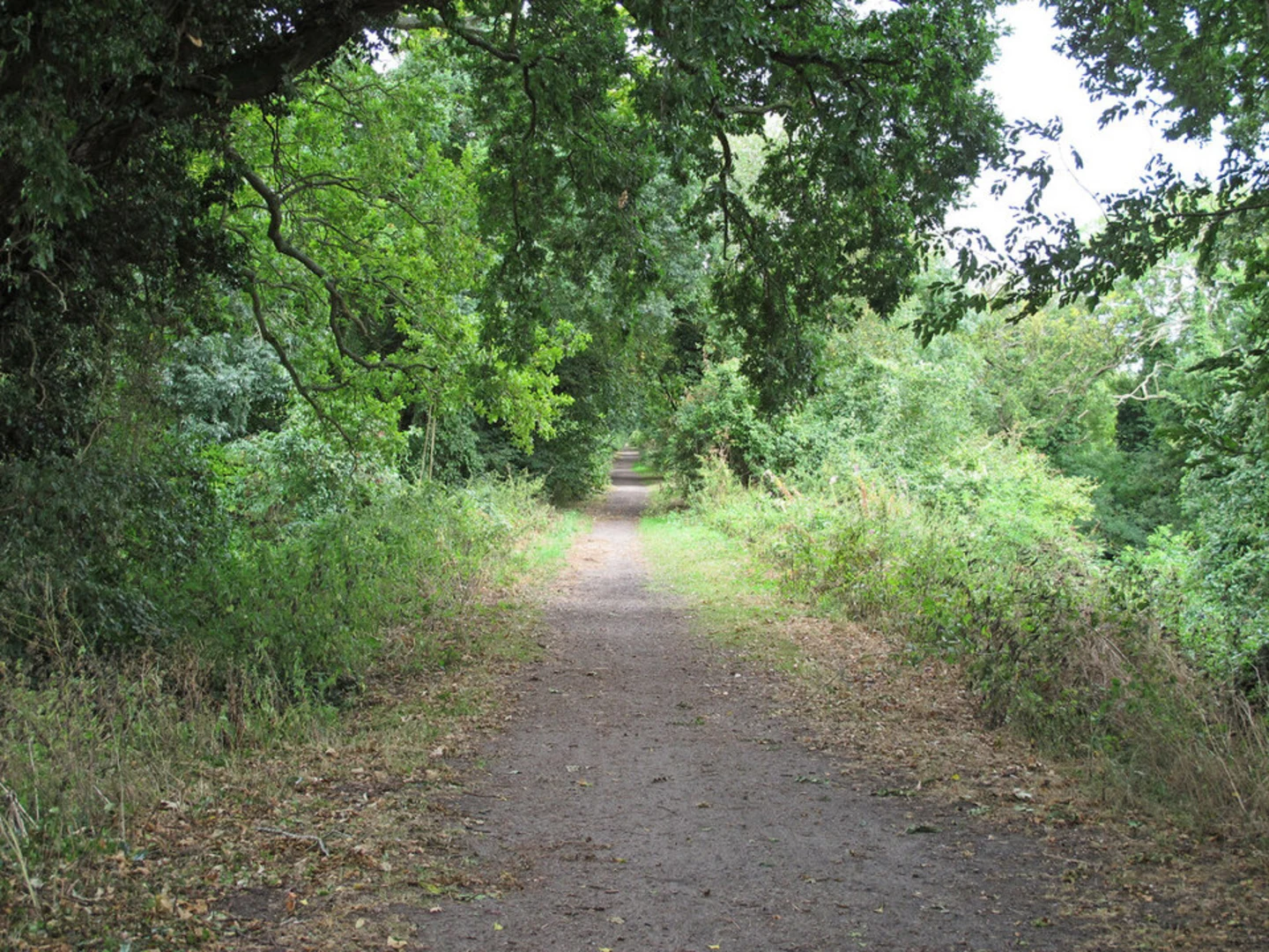 An image depicting the trail Hadleigh Railway Walk and its surrounding area.