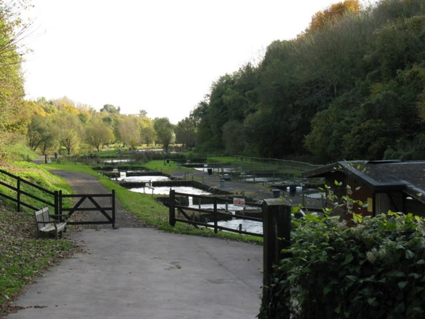 An image depicting the trail Arundel and Madehurst Loop and its surrounding area.