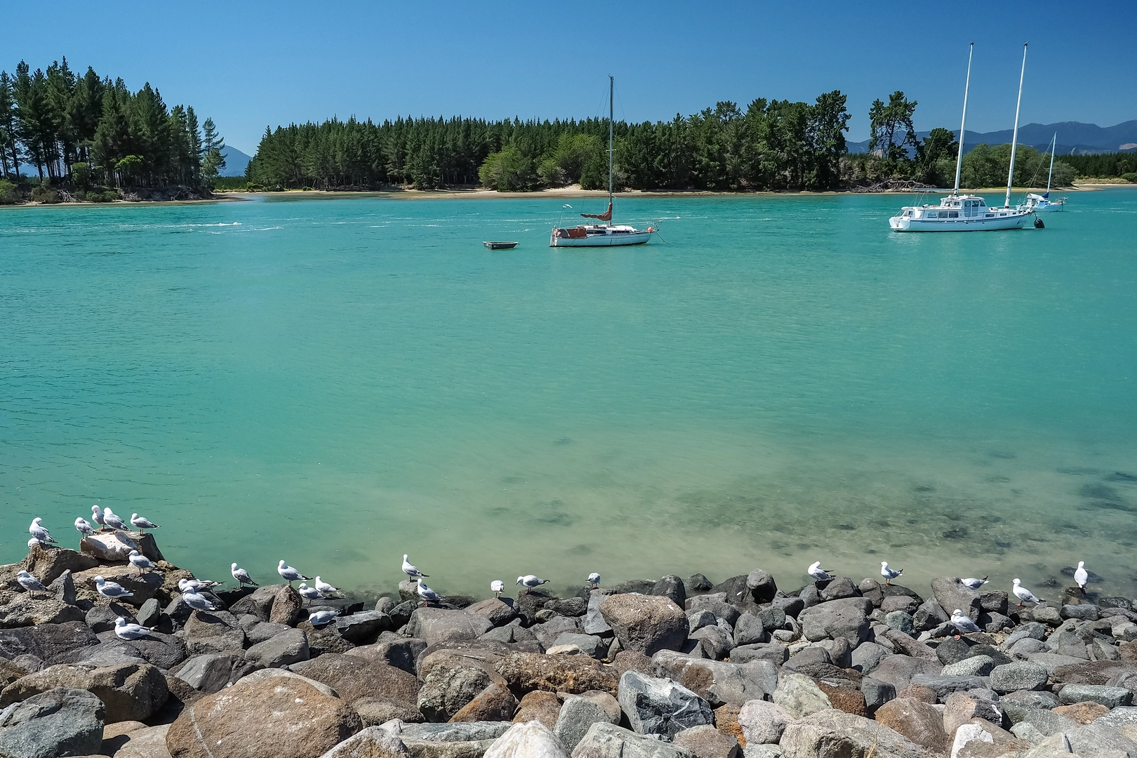 An image depicting the trail Rabbit Island via Great Taste Trail and its surrounding area.