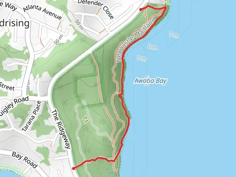 Awaba Bay Foreshore Walk