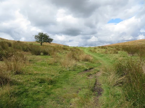 An image depicting the trail Levisham Circular Walk and its surrounding area.