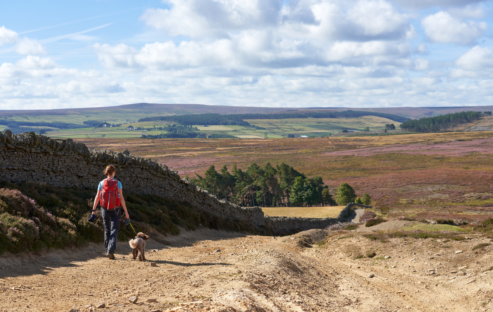 An image depicting the trail Buckshott Fell and Sikehead Mines from Blanchland and its surrounding area.