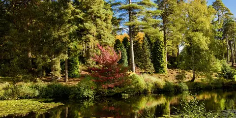 An image depicting the trail West Mendip Way and its surrounding area.